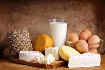 With all foods, such as milk, egg, and cheese, there is a conversion of food into matter and energy via a combination of mechanical and chemical digestion.
