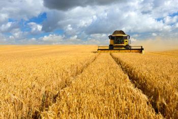 Farmers maintain a relationship between biodiversity and humans.