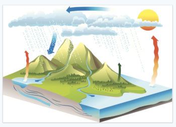 All of the phases of the water cycle shown in one graphic.