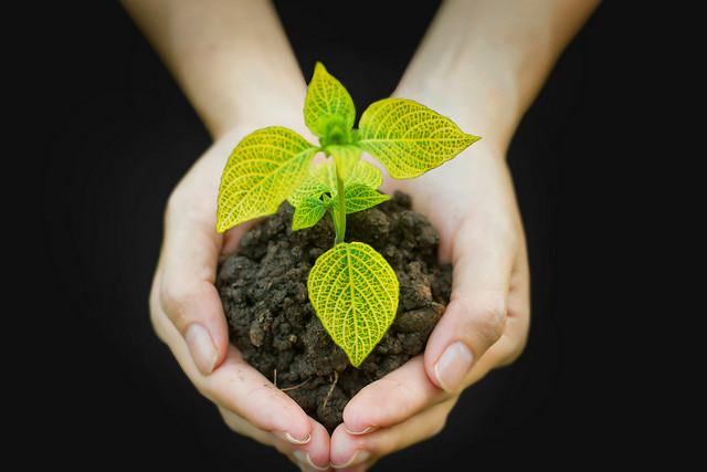 Teachers across the country have a unique opportunity to engage their students in science this Earth Day.