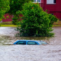 car almost completely covered by water in a flood, tree in background