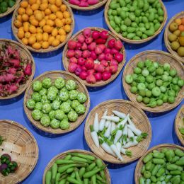 exotic fruits and vegetables sorted onto plates