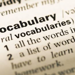 dictionary definition of vocabulary