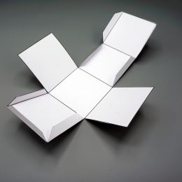 unfolded paper cube