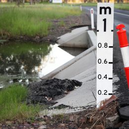 swamp with measurement stick on right side