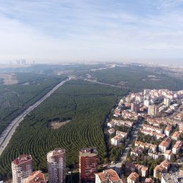 large city taking over a forest
