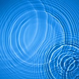circular ripples in water