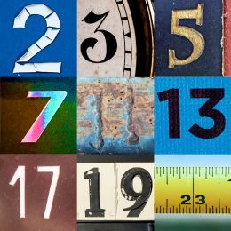 small pictures of all prime numbers between 2 and 23