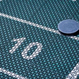 puck on 10 points on shuffleboard