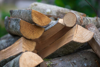 logs are made of matter and have their own physical properties