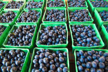 bundles of blueberries to count to 1000