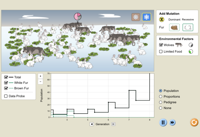 A simulation from PhET Interactive on Natural Selection, allowing students to visualize a population of rabbits over time. 