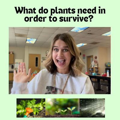 What Do Plants Need To Survive?