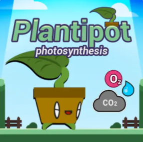 Plantipot-Photosynthesis-3